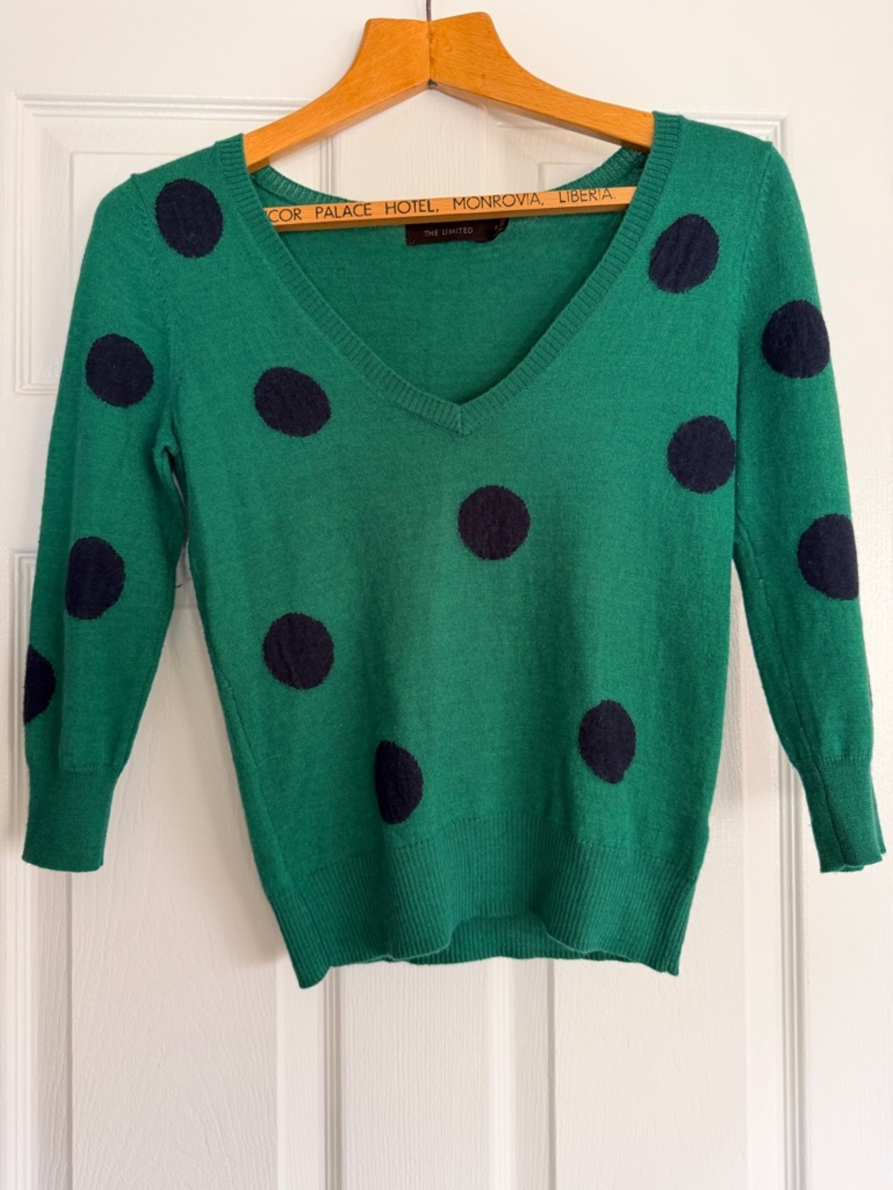 The Limited Marino Wool Lightweight V-Neck Sweater Size Small
